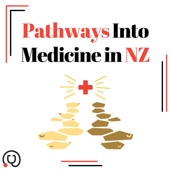 Pathways into Medicine in New Zealand